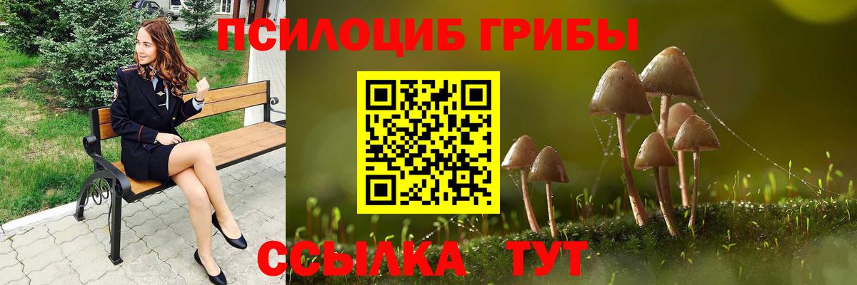Галлюциногенные грибы прущие грибы Киселёвск