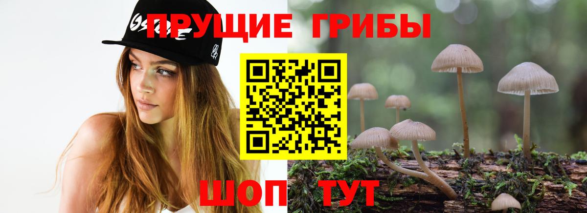Киселёвск  Псилоцибиновые грибы прущие грибы  Вход с VPN 